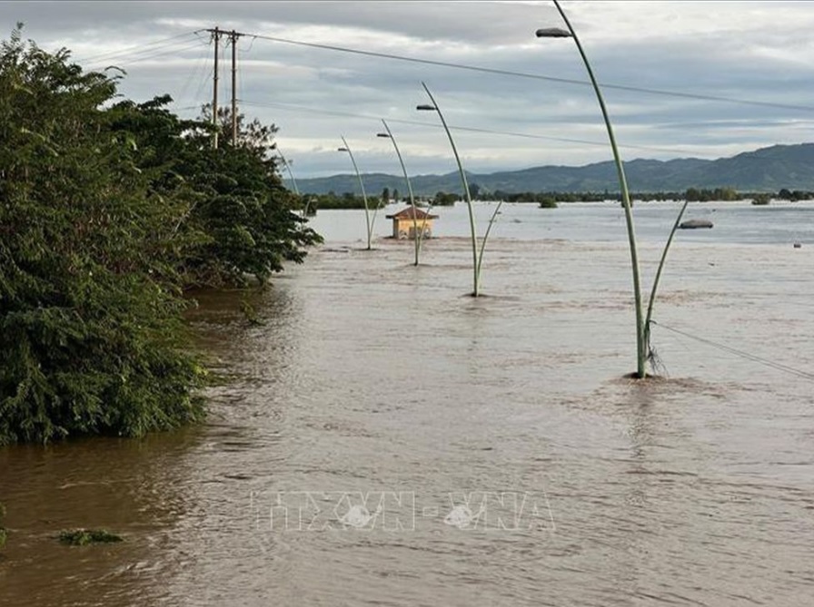 thiet hai bao 13.jpg